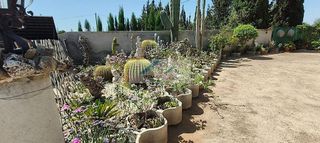 Chalet en venta en La Algoda - Matola - El Pla en Elche