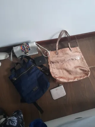 Lote Borse Donna: Rosa e Argento