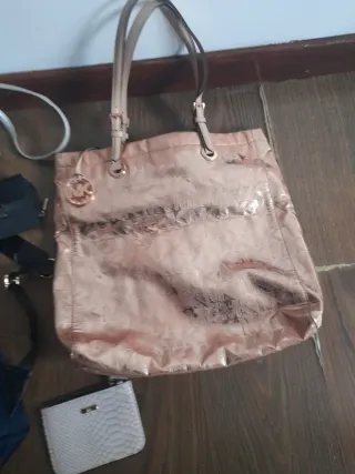 Lote Borse Donna: Rosa e Argento