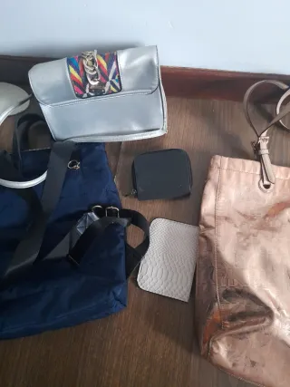 Lote Borse Donna: Rosa e Argento