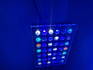 Orphek Atlantik Compact Icon Gen 2 Luces LED Acuar