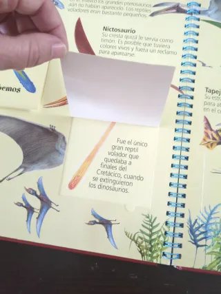 Dinosaurios sorprendentes (Spanish Edition)