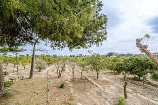 Casa en venta en Rojales en Rojales