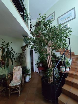 Chalet en venta en Las Vaguadas - Urb. del Sur en Badajoz