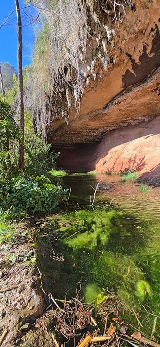 Chalet en venta en Sant Feliu de Codines