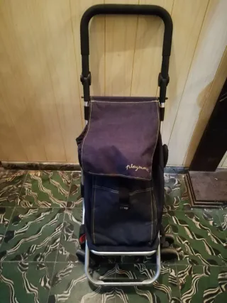 Carro de la compra plegable