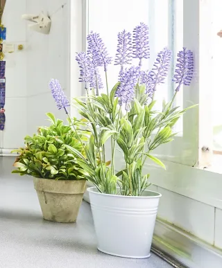 Set 2 Plantas Artificiales Lavanda y Verde