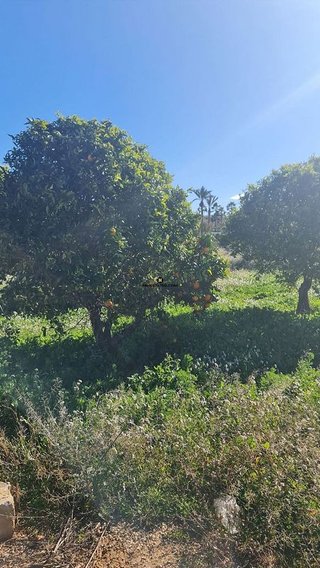 Chalet en venta en Teulada Pueblo en Teulada