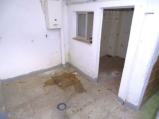 Casa en venta en Morón de la Frontera