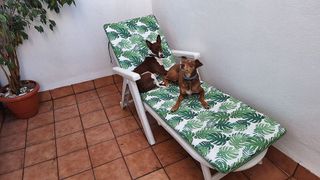 Piso en venta en Girón - Las Delicias - Tabacalera en Málaga