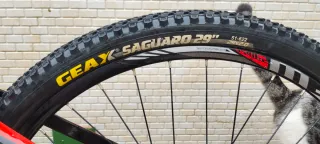 Bicicleta Orbea de Montaña