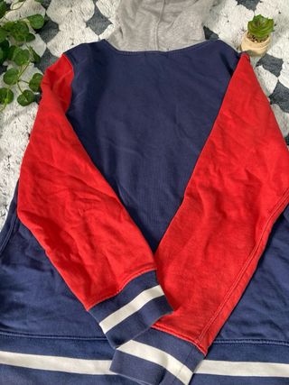 Sudadera Polo Ralph Lauren Azul y Roja