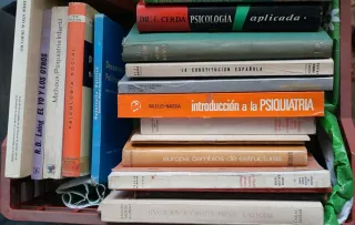 Caja Lote CHOLLO 31 libros