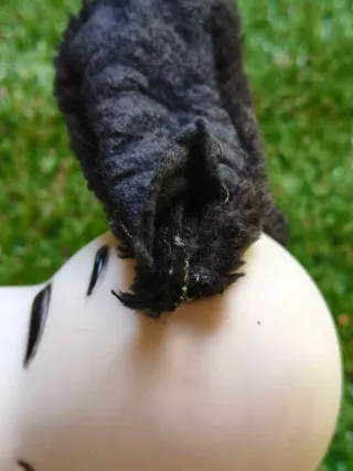 Muñeco Snoopy Coleccionable Años 60