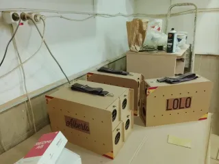 Transportines Hurones Personalizados