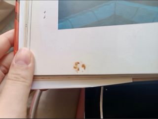 El Arte de Mulan Libro