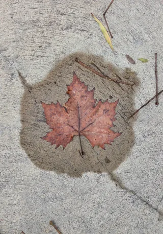 Busco mujer Española para cuidar señora de 86 años