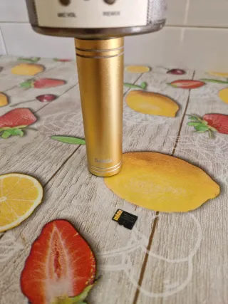 Micrófono Karaoke Dorado y Blanco