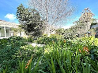 Chalet en alquiler en Amanecer - L'Olivera en Palma de Mallorca