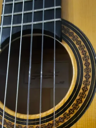 Guitarra Flamenca amplificada Amalio Burguer