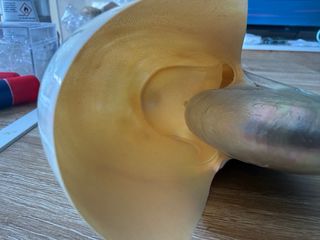 Nautilus madreperlaceo