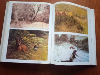 The Ark -  Rien Poortvliet