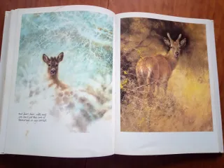 The Ark -  Rien Poortvliet