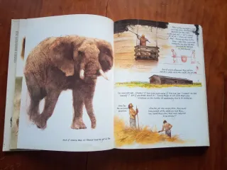 The Ark -  Rien Poortvliet