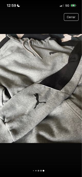 Sudadera Puma Gris