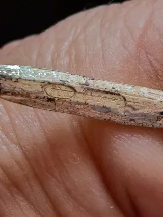 Rosa de plata decorativa