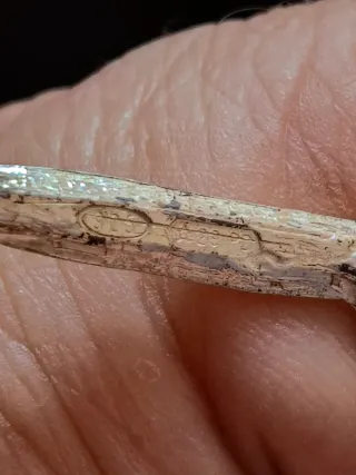 Rosa de plata decorativa