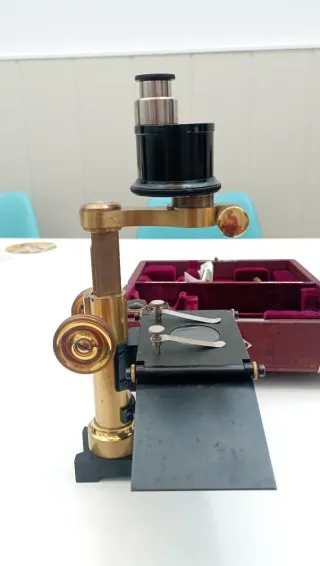 Microscopio Leitz Wetzlar Antiguo Plegable