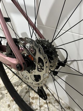 Scott Addict 50 2025