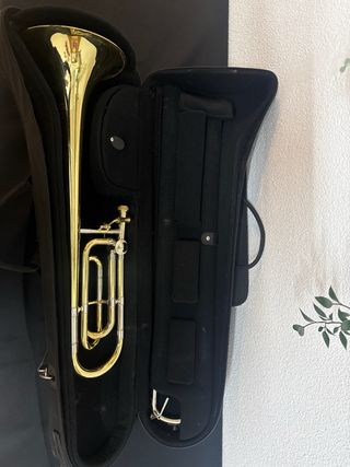 Trombón Schagerl Mnozil Brass