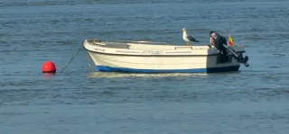 Embarcación con motor fueraborda