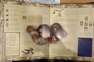 Tratado de magia (Spanish Edition)