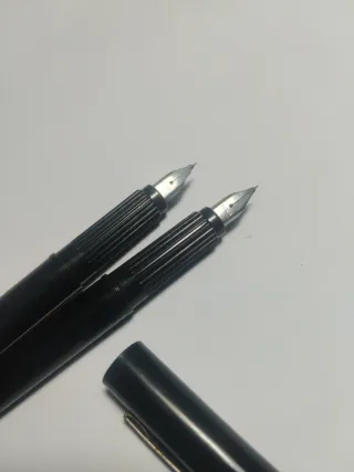 2 Plumas Walker Negras