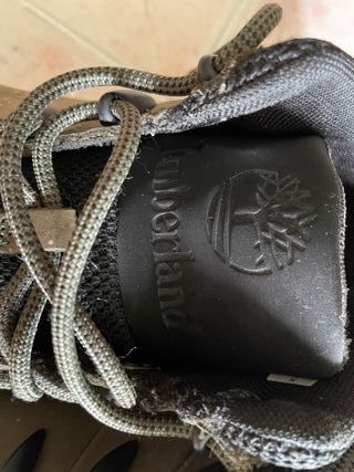 Scarponcini Trekking Timberland Grigio/Verde