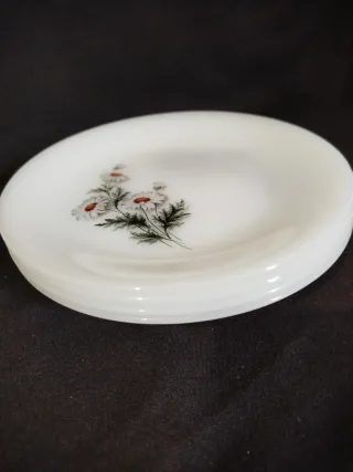 Plato Arcopal Margaritas Blanco