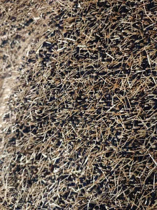 Bomber Zara dorada y negra