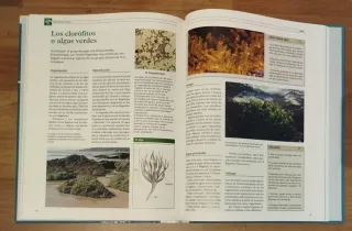 Gran Enciclopedia Temática Sapiens