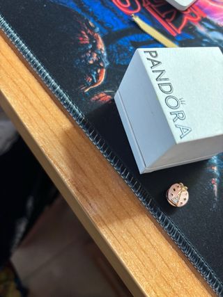 Charm Mariquita Pandora Reflexión