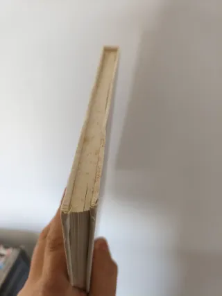 Cuentos cortos surrealistas para niños...