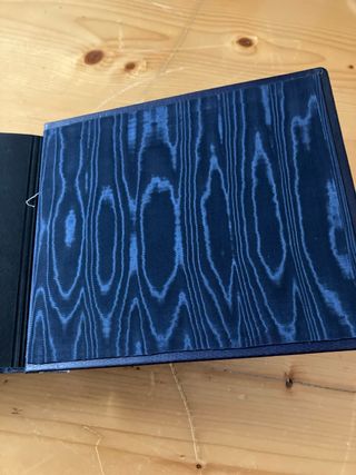 Álbum de fotos antiguo Fotografías de piel azul