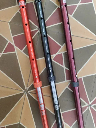 Baston de senderismo