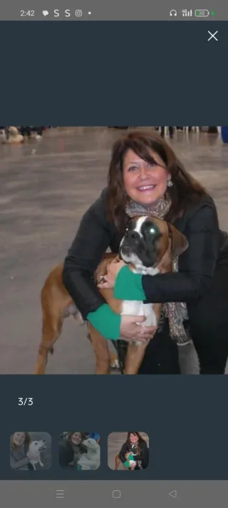 Cuidadora , alojamiento canino