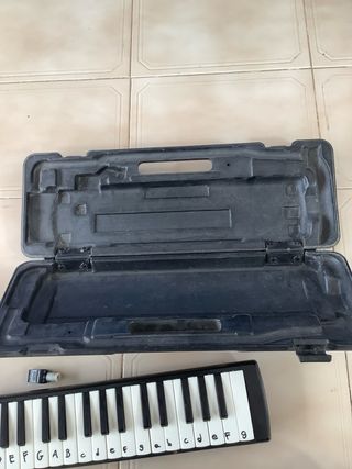 Kit Flauta y Portatil Hohner
