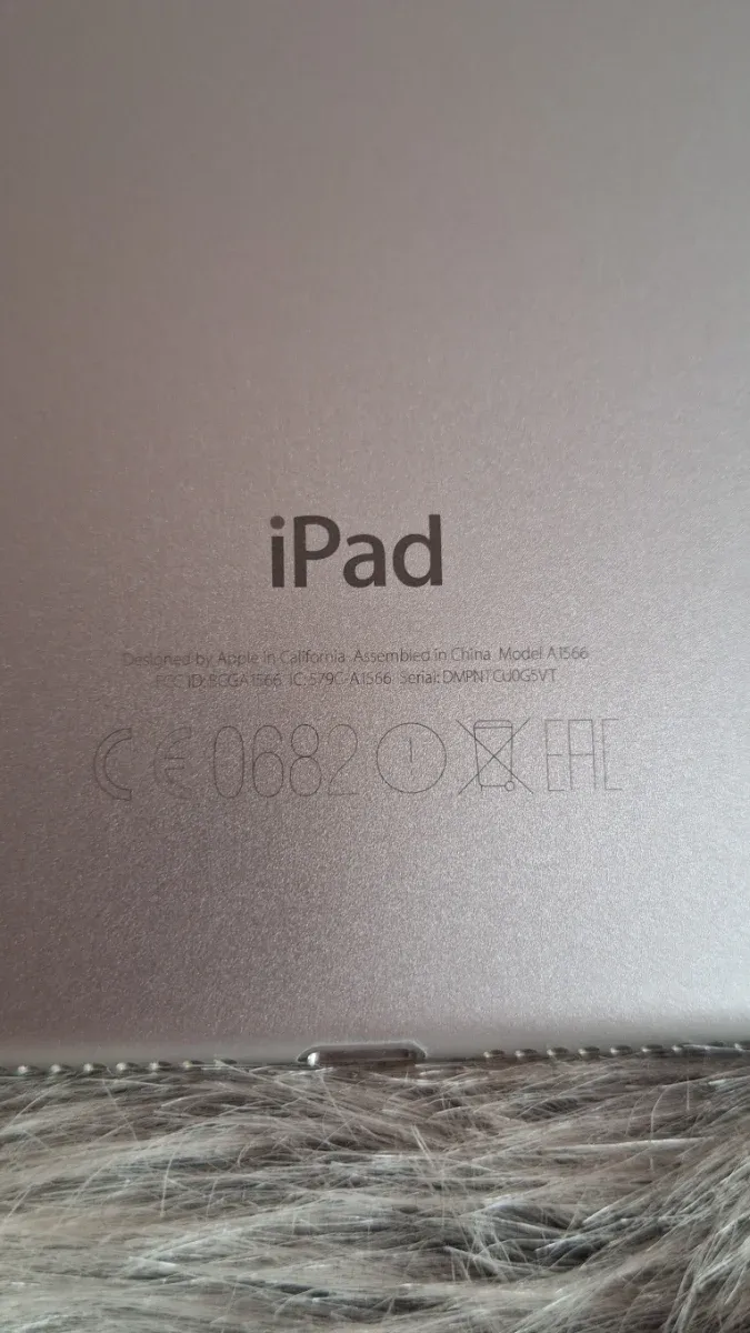 iPad Air 2 Plata afbeelding 2