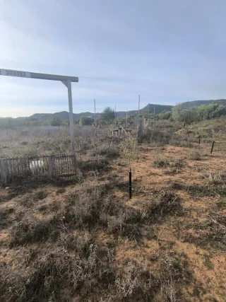 Vendo Finca rustica de uliveras 4000 metros cuadra