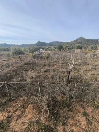Vendo Finca rustica de uliveras 4000 metros cuadra